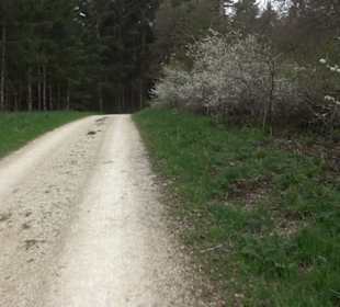 Wanderweg Kunst der kleinen Schritte
