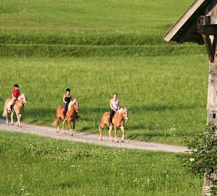 Sport & Freizeit