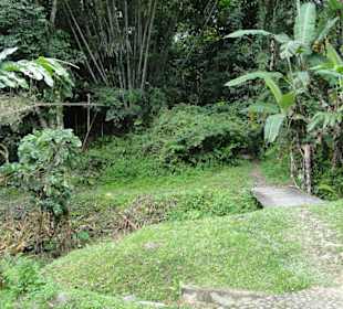 Ausflug Wildfife Expeditions- Rastplatz