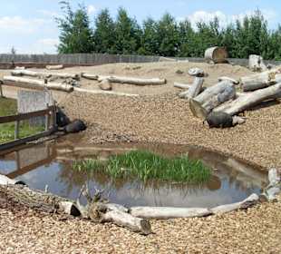 Prärie der Indianer