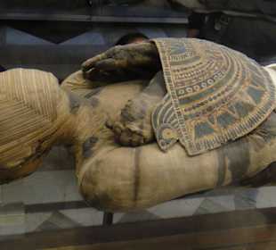 Only mummy on display