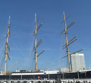 Eindrücke von unseren Priwallwanderungen