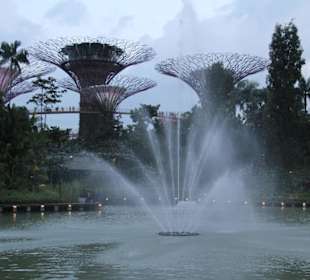 Gardens by the Bay