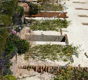 Dettaglio del giardino