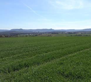 Premiumwanderweg "hochgeblickt"