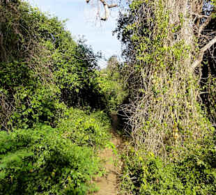 Spaziergang durch den Hòfi Pastor Park