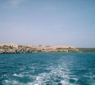 Hafenrundfahrt in Mahon