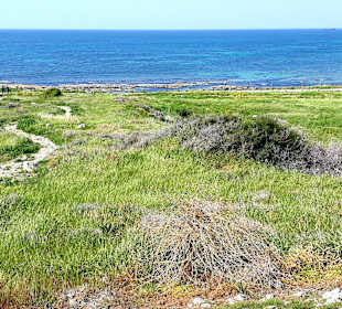 Archäologischer Park Kato Pafos