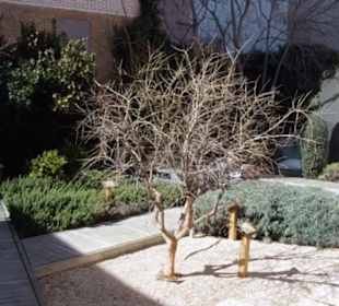 Museum de San Isidro