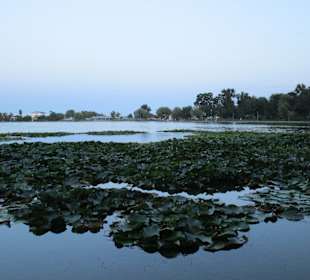 Lacul Neptun I