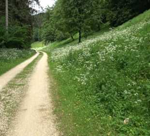 Premiumwanderweg "hochgehackert"