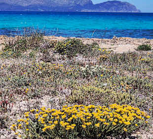 Strand und Naturpark Son Baulo