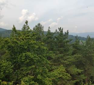 Blick Richtung Koralpe