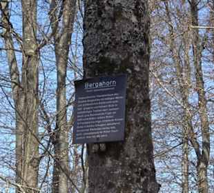Geologischer Lehrpfad Kirnbachtal