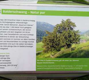 Wandern Balderschwang