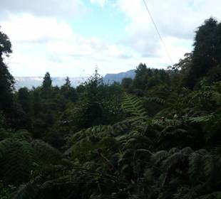 Ausblick auf die Blue Mountains