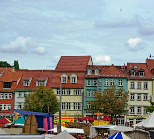 Stadt Erfurt im Bild Sept.2010