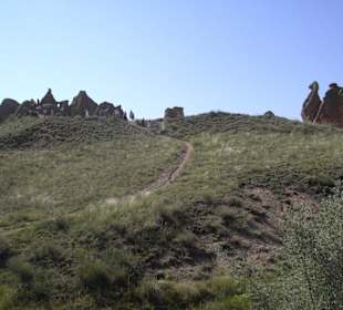 Dort liegt das Kamel