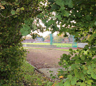 Blick in das Stadion