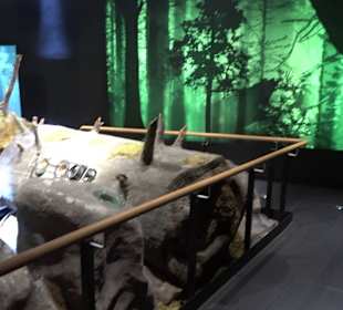 Naturparkzentrum Ruhestein