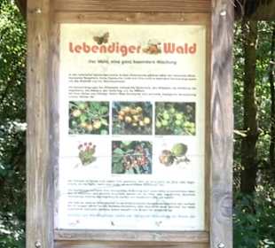 Waldinformationssystem „Lebendiger Wald“