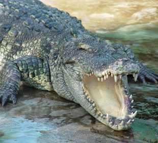 Sehenswertes Koh Samui