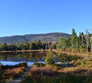 Lilly Pond am Kancamagus Highway