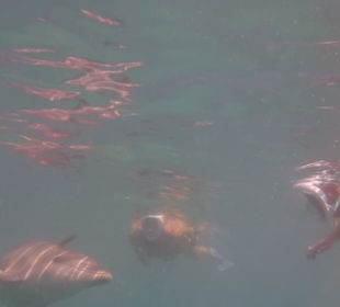 So schön wie sie mit uns gespielt haben