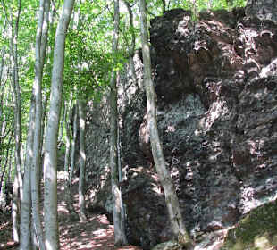 Großer Zacken am Weilsberg, unterhalb des Feldbergs