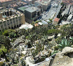 Kaktengarten Monte Carlo