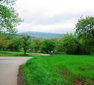Abkürzung sehr steiler Weg