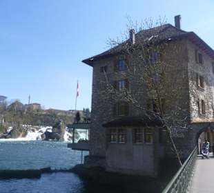 Schlössli Wörth am Rheinfall bei Schaffhausen