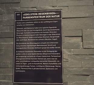 Museum für Naturkunde