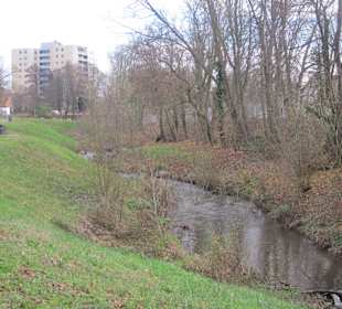 Partie an der Queich