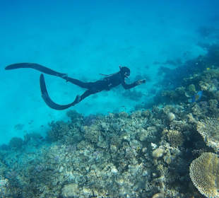 Delfin Tour 2015 Joseph & Marlen