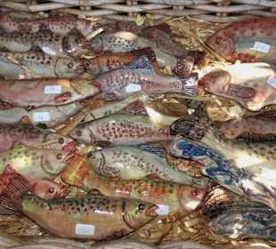 Kleine Chiemsee-Fische der Insel-Töpferei