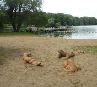 Kajakverleih am Glindower See -Strand 