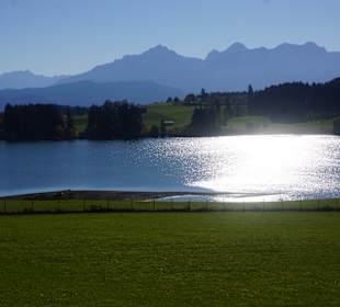 Forggensee