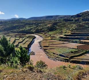 ...meist wasserreiche Gebiete