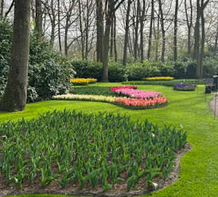 Keukenhof Holland