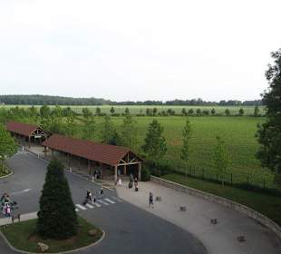 Viaje de semana santa a eurodisney