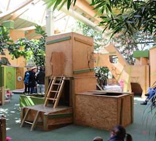 Indoor-Kletterpark