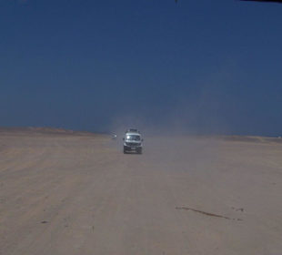 Ausflug in die Wüste