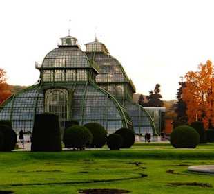 Blick auf das Palmenhaus