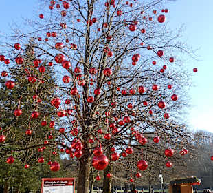 Weihnachtlicher Parkbaum