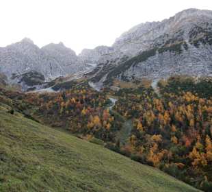 Wandern Mittelberg (Vorarlberg)