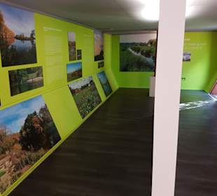 Viele Fotos