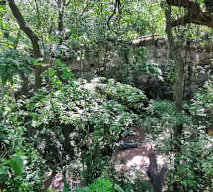 Ausflug zum National Park Los Tres Ojos mit Andy