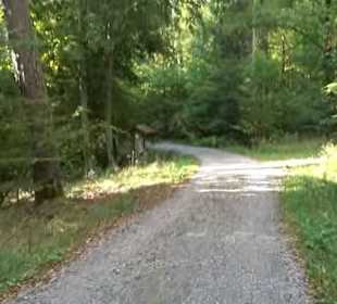 Wanderung Kirnberg-Runde Bebenhausen