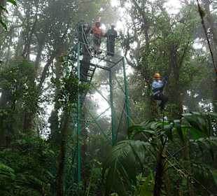 Tarzan Swing